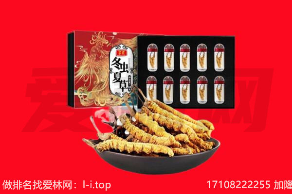 林芝市巴宜回收虫草.jpg